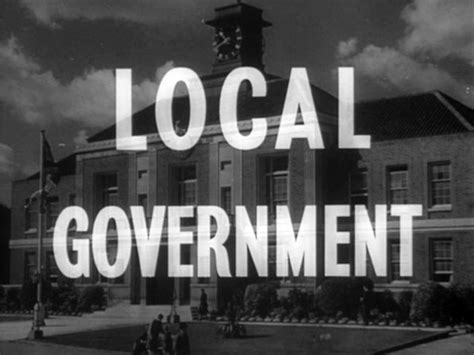 The Nature and Importance of Government Grants to a Local Government