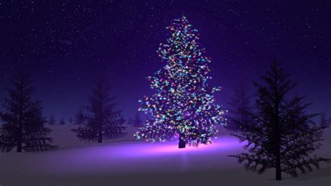 2560x1440 Resolution Christmas Tree With Light Decorations 1440p