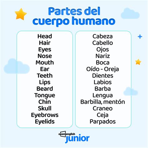 Partes Del Cuerpo En Inglés Cuerpo Humano En Inglés Open English