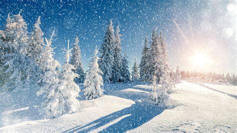 Snow 4k Christmas Wallpapers Wallpaper Cave