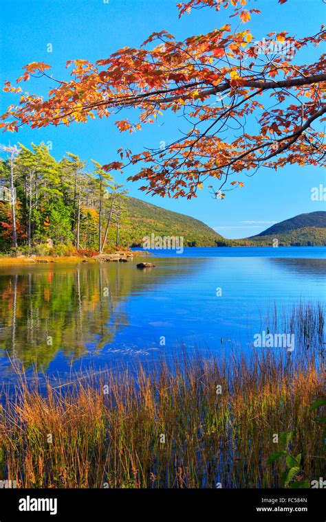 Eagle Lake Acadia National Park Maine Usa Stock Photo Alamy