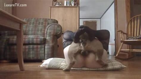 Moaning Lady Had The Best Dog For Fucking