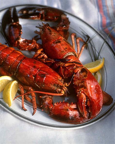 Marie willsey are you looking for an easy appetizer to kickstart your dinner party. Grilled Lobster Recipe | Martha Stewart