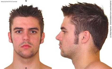 Man head - Front and side views http://www.fineart.sk | Face reference ...