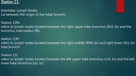 Radiological Anatomy Of Thoracic Lymph Nodes Ppt
