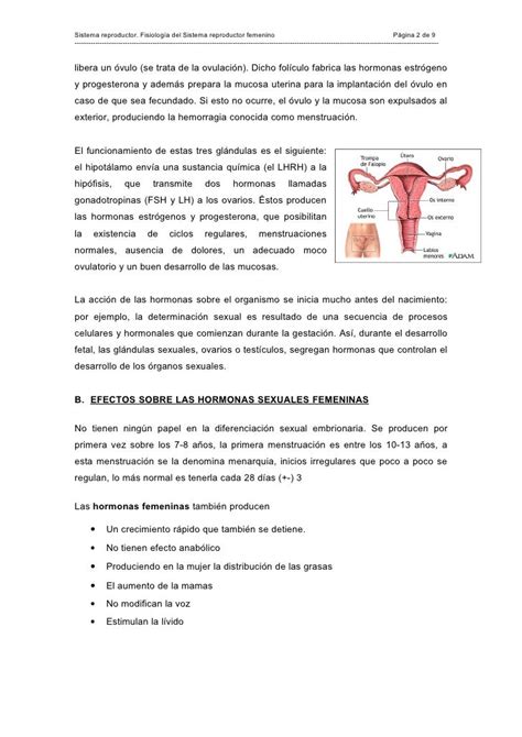 Tema Ii Fisiología Del Sistema Reproductor Femenino