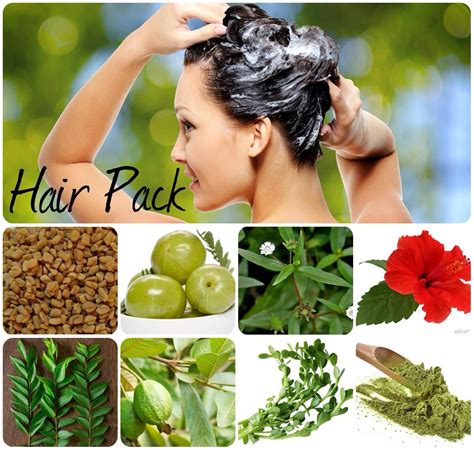 Hair Pack Now Its The Turn For Your Hair To Become More Beautiful