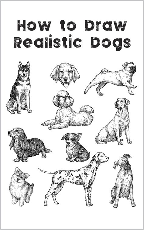 How To Draw A Realistic Dog Step By Step For Beginners
