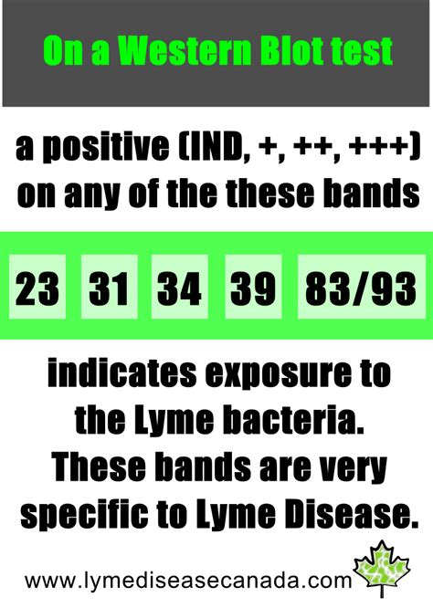 Lyme Disease Canada