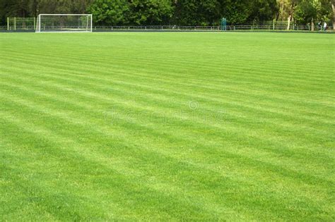 Green Soccer Field And Goal Stock Image Image Of Stadium Field 9895219