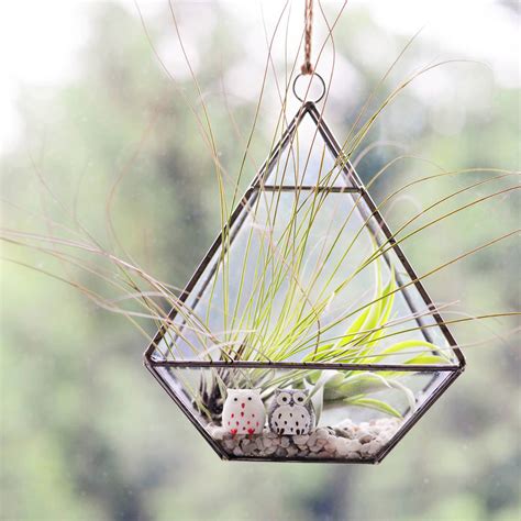 Hanging Geometric Vase Air Plant Terrarium With Owls By Dingading