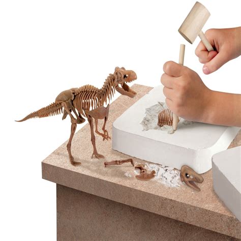 Evolución de discovery kids 1996 2018 atxd. Juego de excavación para encontrar fósiles de dinosaurios ...