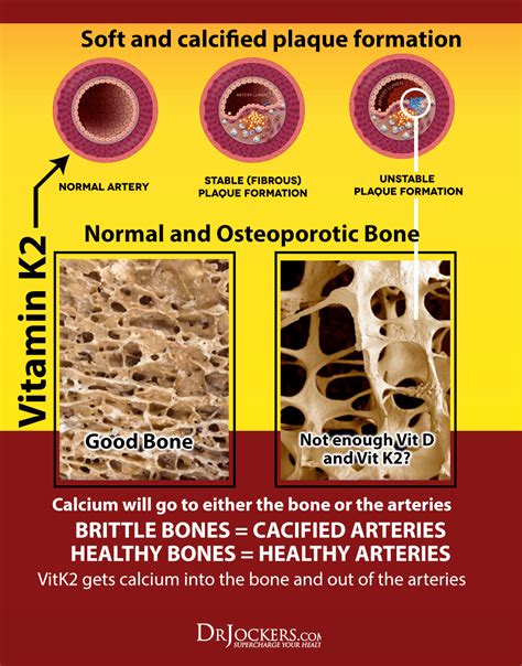 Best vitamin k supplement for bone health. 3 Major Benefits of Vitamin K2 For Your Heart and Bones