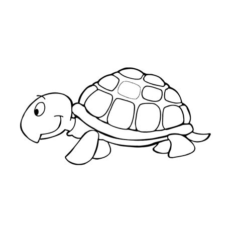 1007 x 824 png pixel. Leuk voor kids - cartoonschildpad