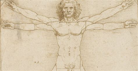 Study Of The Proportions Of The Human Body Known As The Vitruvian Man