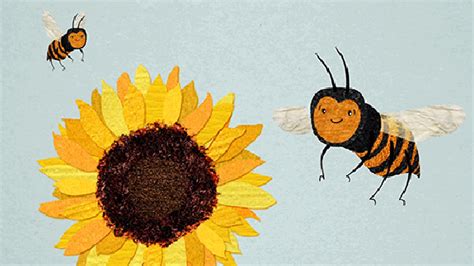 8 Fun Facts About Bees In Ted Ed S