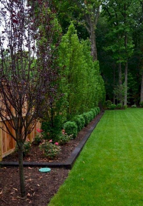 10 Some Of The Coolest Ideas How To Build Backyard Privacy Landscaping