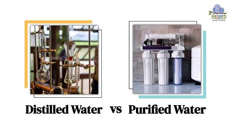 Distilled Vs Purified Water 4 Differences And Health Benefits