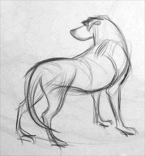Draw Animal Limbs Drawing Life Joshua Nava Arts