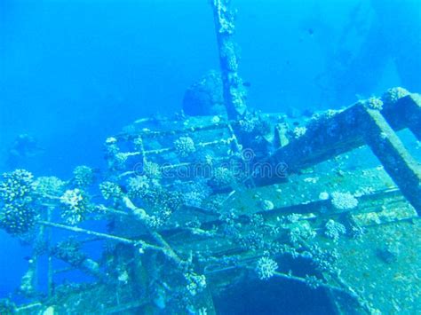 Ein Altes Schiffswrack Unter Wasser Stockbild Bild Von Unterwasser
