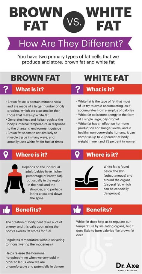 Brown Fat Benefits And How To Increase Dr Axe