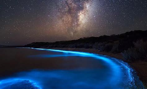 This Glow In The Dark Pakistani Bioluminescent Beach Is The Coolest