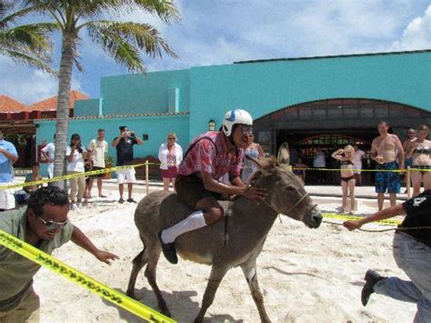 Picture Of Club Med Cancun Yucatan Cancun Tripadvisor