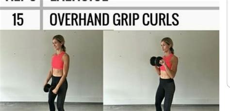 Pin By Maryellen Small On Back And Biceps Back And Biceps Biceps Curls