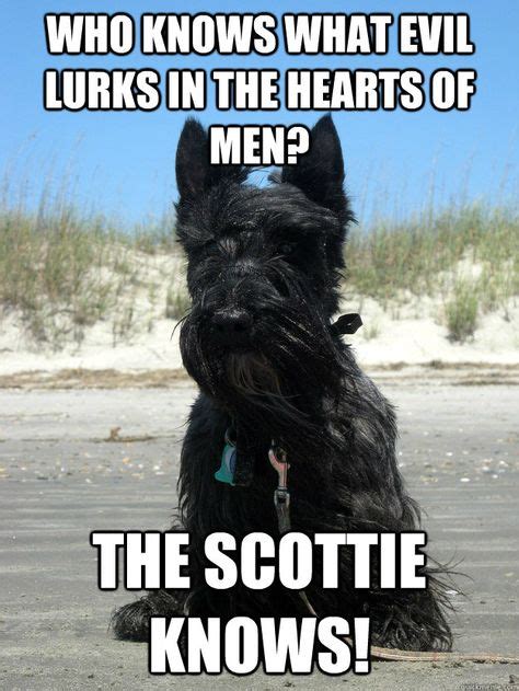 Who Knows What Evil Lurks In The Hearts Of Men The Scottie Knows