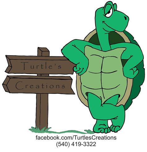 Turtles Creations