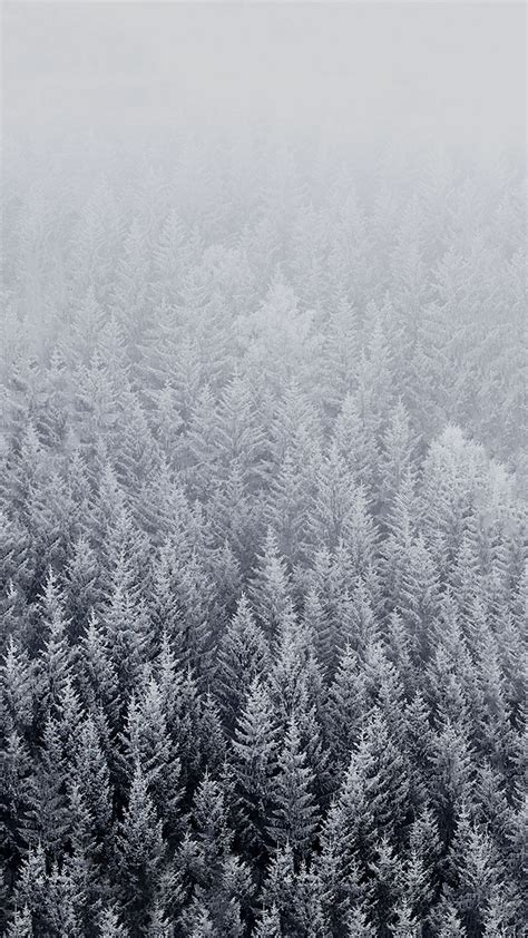 Hd Winter Background For Iphone Iphone Wallpaper Winter Ios