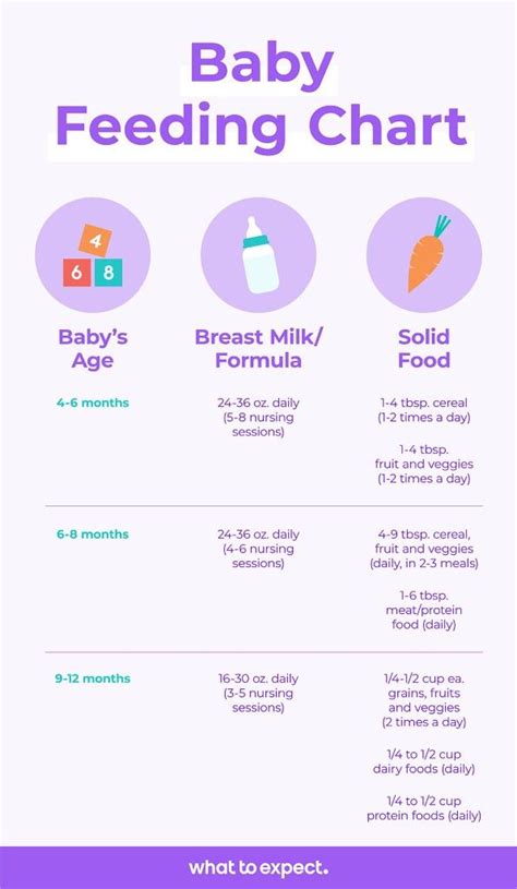 What Is The Best Feeding Schedule For Your Babys First Year Baby