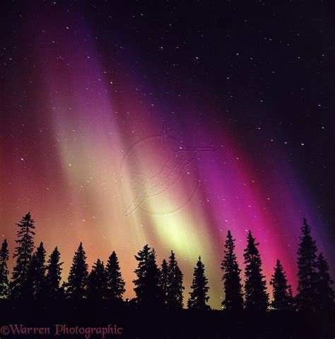 Aurora Borealis Photo Aurora Borealis Aurora Northern Lights