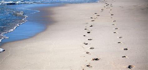 Footprints Sand Sea Free Photo On Pixabay Pixabay