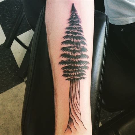 75 Simple And Easy Pine Tree Tattoo Designs And Meanings 2019