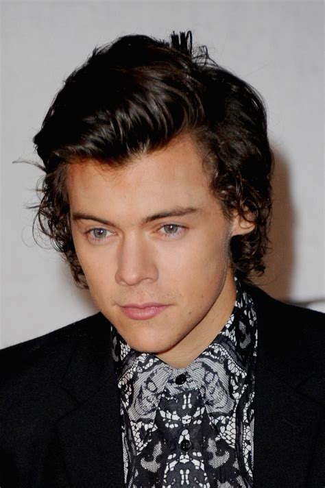 Harry Styles 2014 Hair: New French Braids Hot or Not? [Poll] : Entertainment : Latinos Post