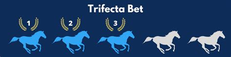 How to place a trifecta online. Horse Betting: What is a Trifecta Bet & How To Calculate ...