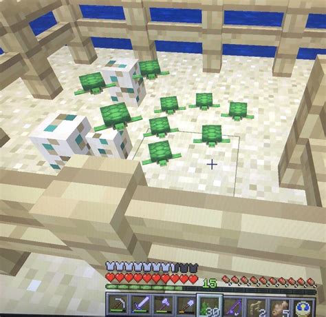 How To Make Turtle Eggs Hatch In Minecraft Ps4