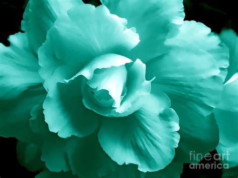 Isnt This Beautiful Flowers Pinterest Teal Green Teal And
