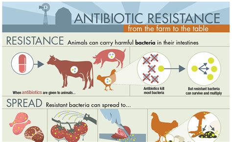 National Antimicrobial Resistance Monitoring System For Enteric