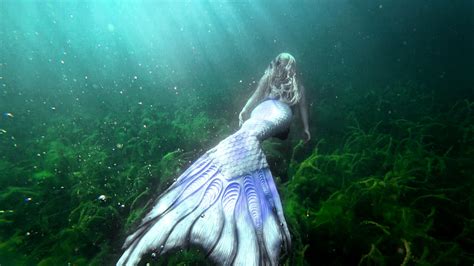Mermaid Swimming In Seaweed With Fish New 4k Underwater Video Of