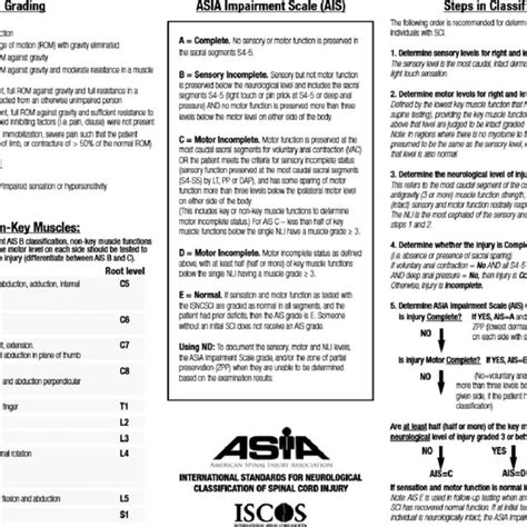 Asia Standard Neurological Classification Of Spinal Injury Download