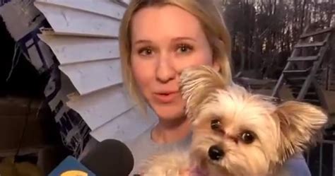Little Dog Survives Big Tornado That Sucked It Out Of A House