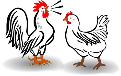 Free Chicken Clip Art Pictures Clipartix