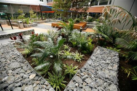 Pa Hospital Atrium Garden Penfold Projects Landscape Design