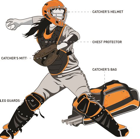 Difference Between Softball And Baseball Catchers Mitt Baseball Wall