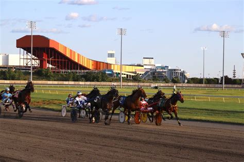 Meadowlands Racetrack Trotters Down The Front Toward The Finish Line