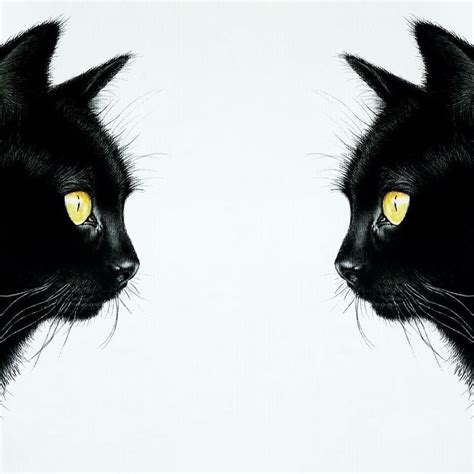 Black Cat Print Digital Cat Posterblack Cat Printablecustom Etsy