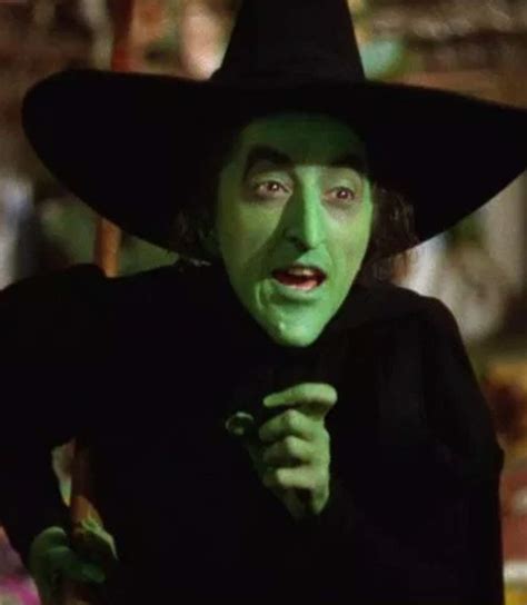 Wicked Witch West The Wizard Of Oz Oncers Amino