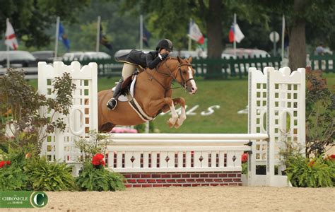 Libbie Gordon Strikes Again In The Large Green Division At Usef Pony